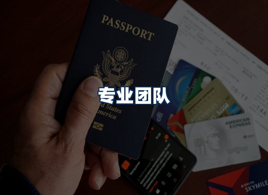 专业团队